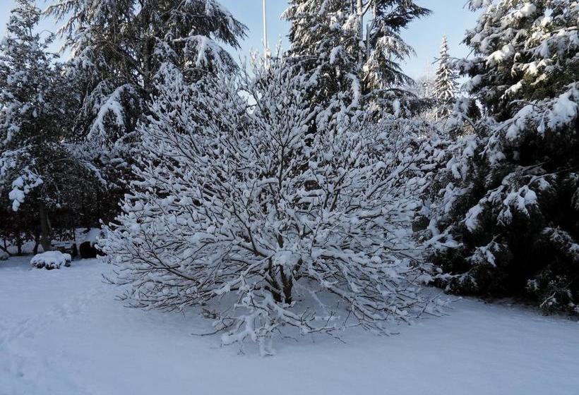 Bed And Breakfast Birkerod