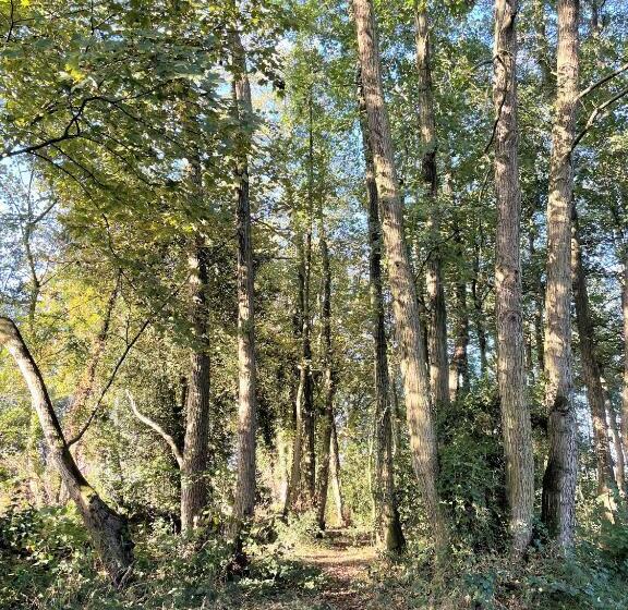 Eagle House   Award Winning B&b And Apartment