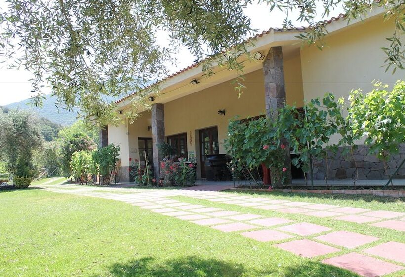 호텔 Ostello Su Mannau