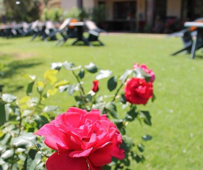 호텔 Ostello Su Mannau