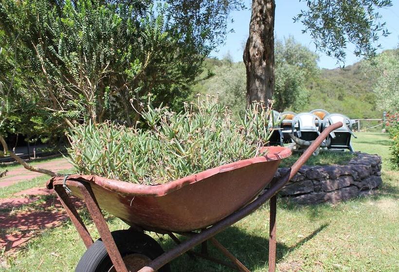 호텔 Ostello Su Mannau