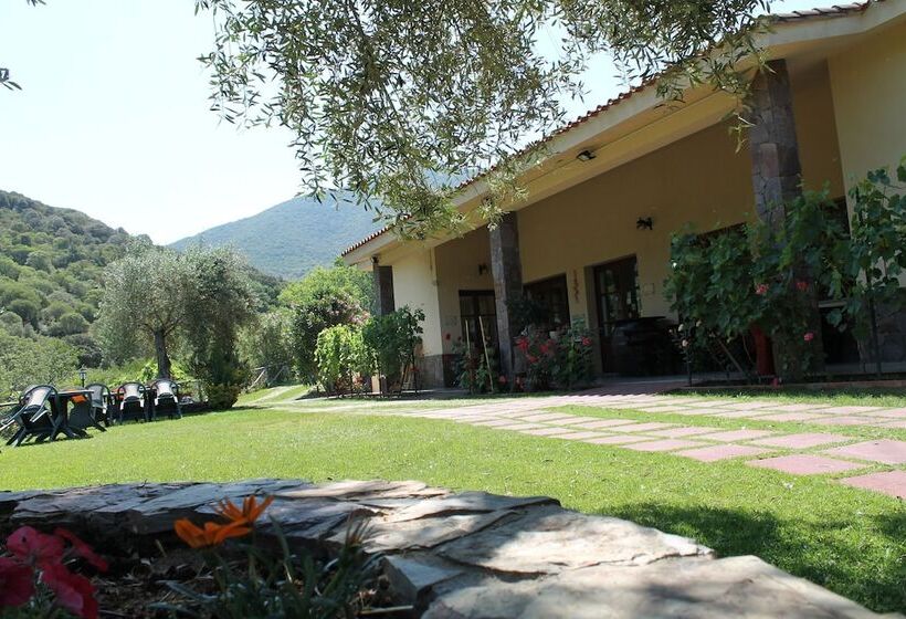 호텔 Ostello Su Mannau