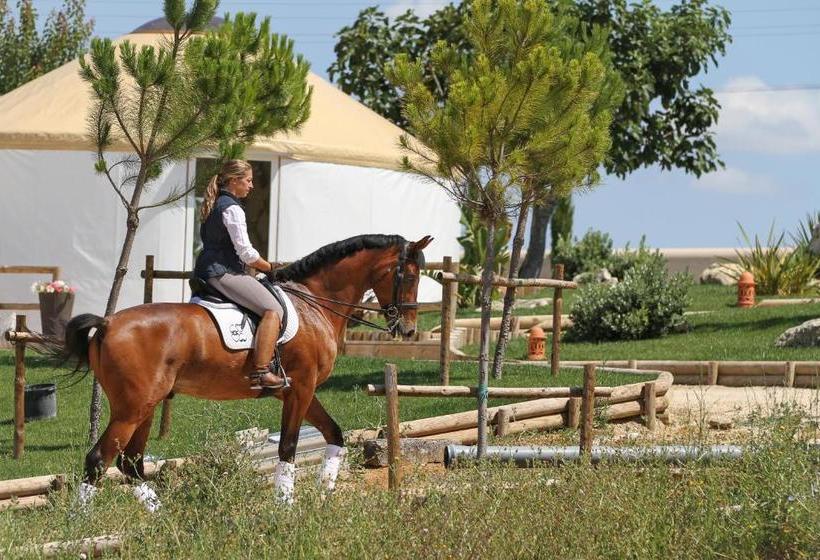 호텔 Quinta M  Portugal