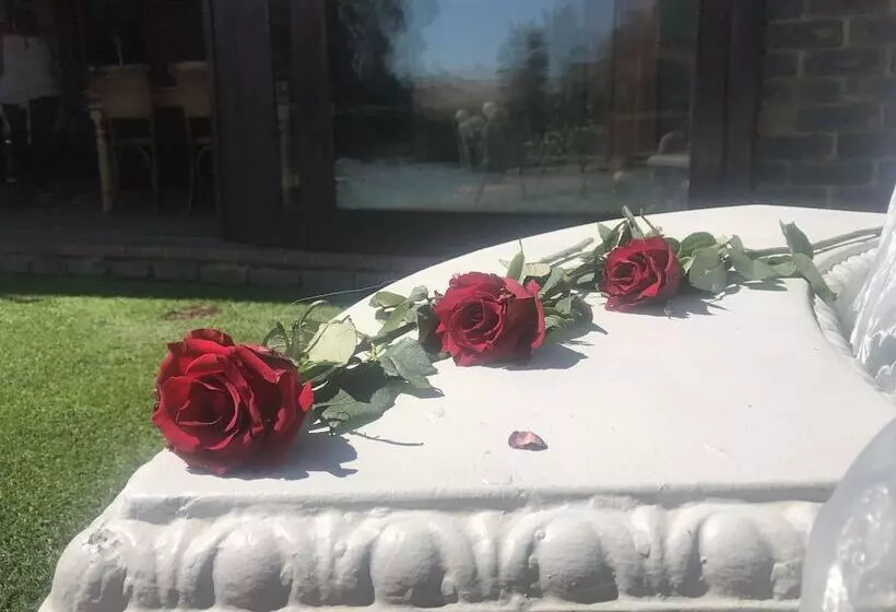 Aamiaismajoitus (B&B) Dara Guest House