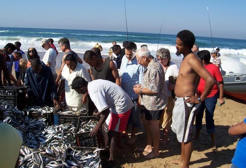 צימר Birdcage B And B