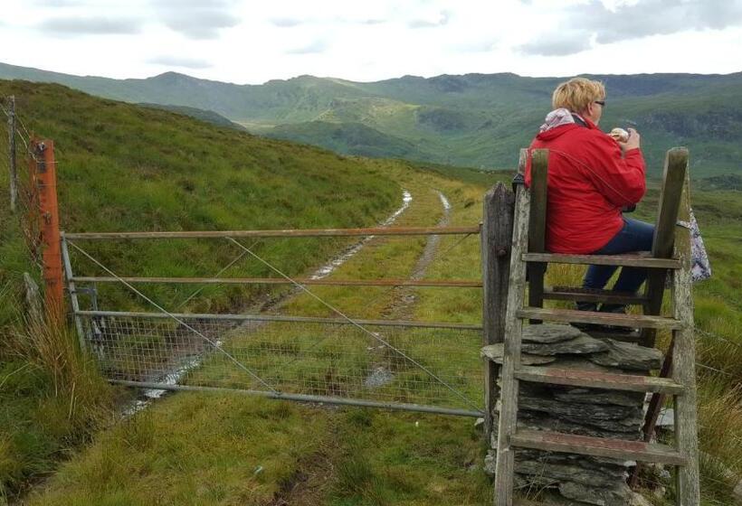 Bod Gwynedd Bed And Breakfast