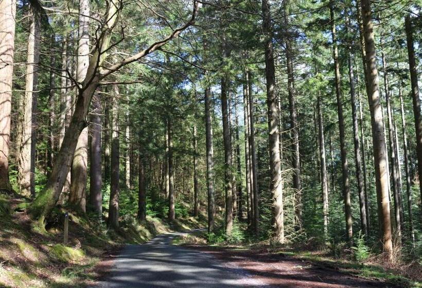 Bod Gwynedd Bed And Breakfast