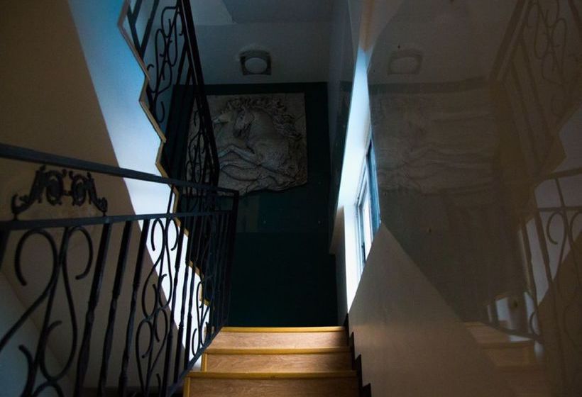 Cuddles Plus Apartments