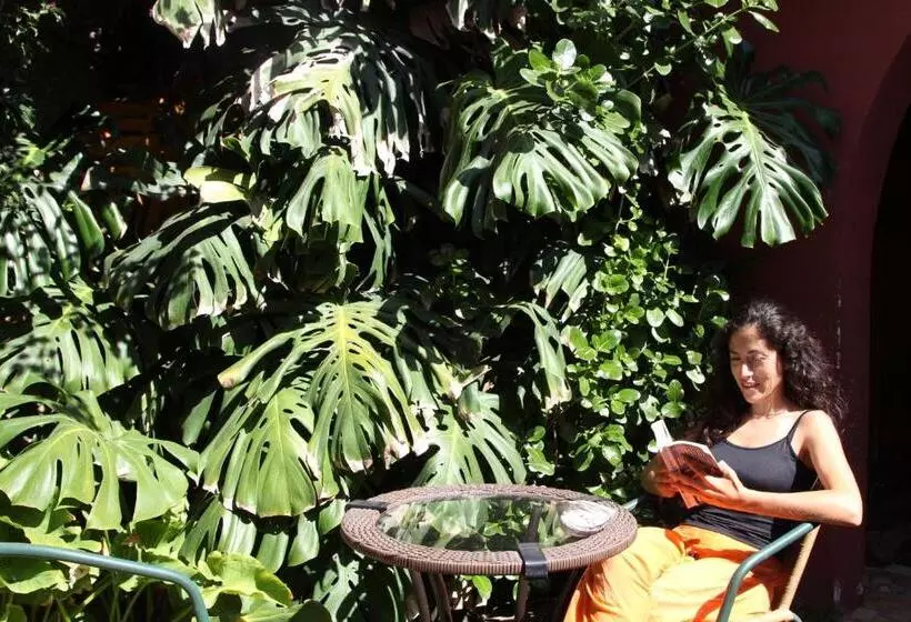 El Arbol Hostel