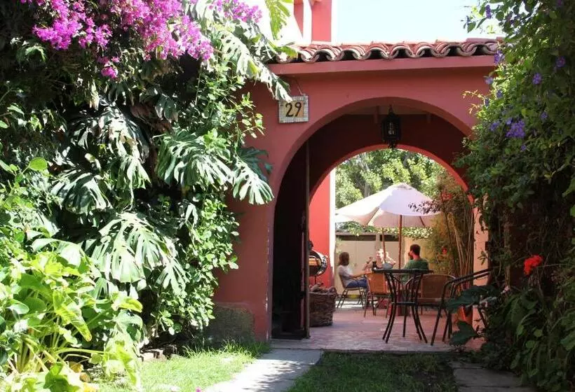 El Arbol Hostel