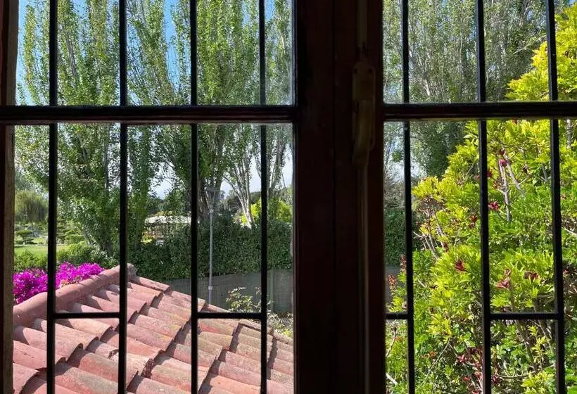 El Arbol Hostel