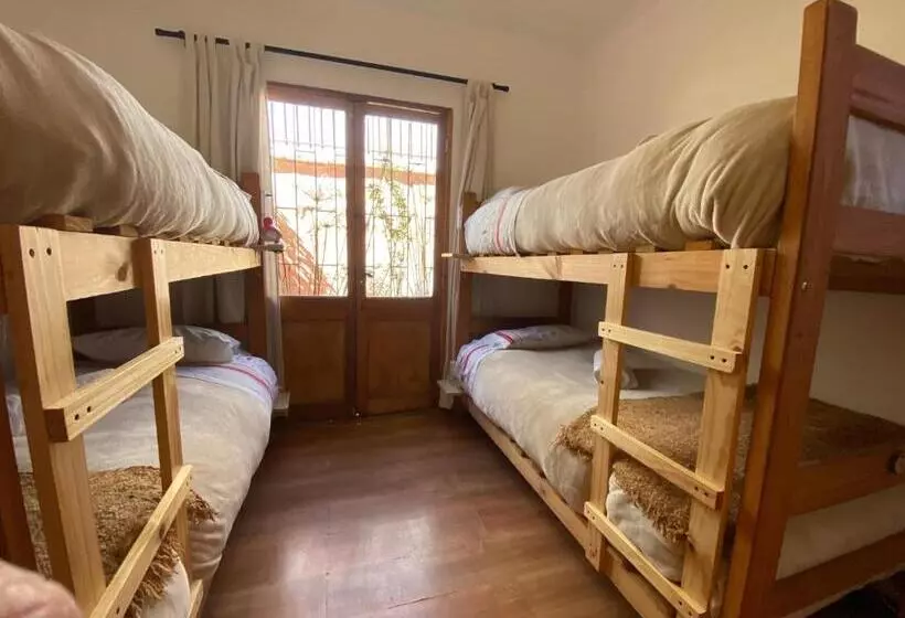 El Arbol Hostel