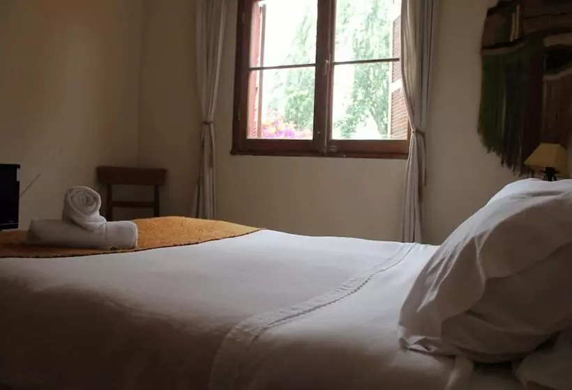 El Arbol Hostel