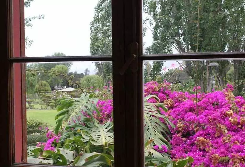 El Arbol Hostel
