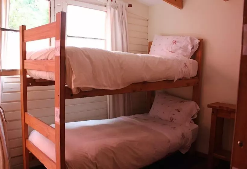 El Arbol Hostel
