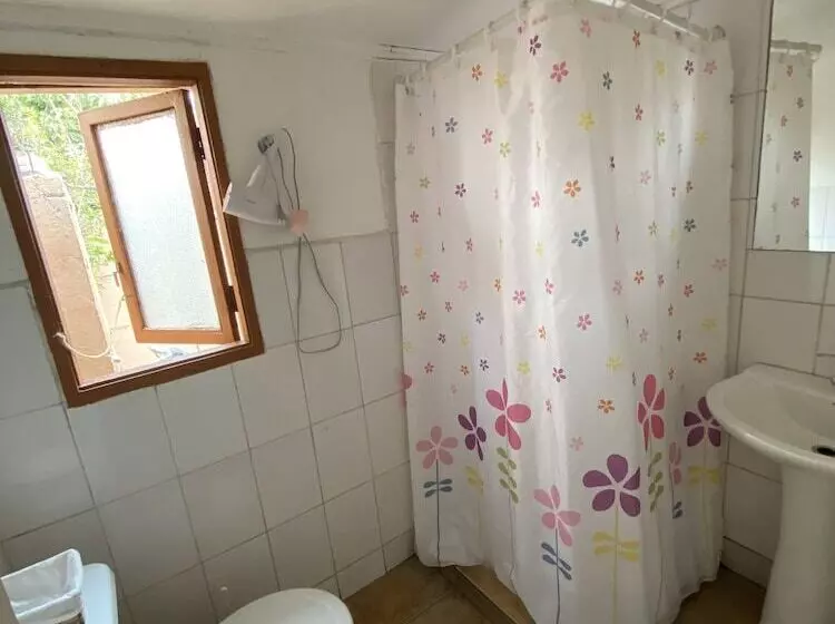 El Arbol Hostel