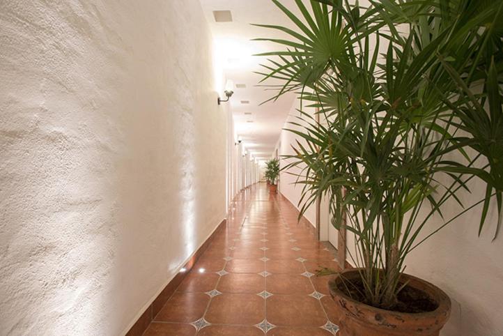 فندق Casa Lotería  Pueblito Sayulita  Colorful, Family And Relax Experience With Private Parking And Pool