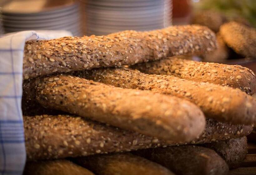 Lofoten Sommerhotell Og Vandrerhjem