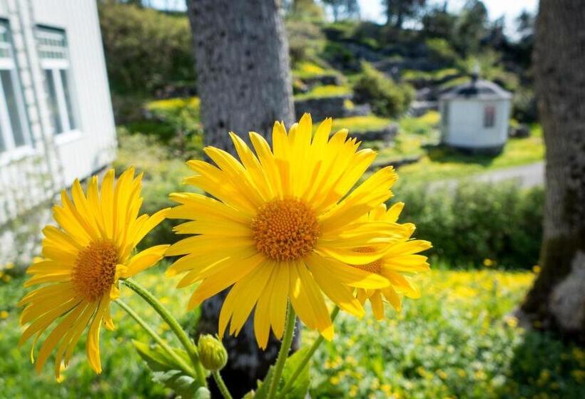 Lofoten Sommerhotell Og Vandrerhjem