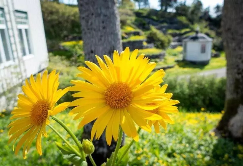 Lofoten Sommerhotell Og Vandrerhjem