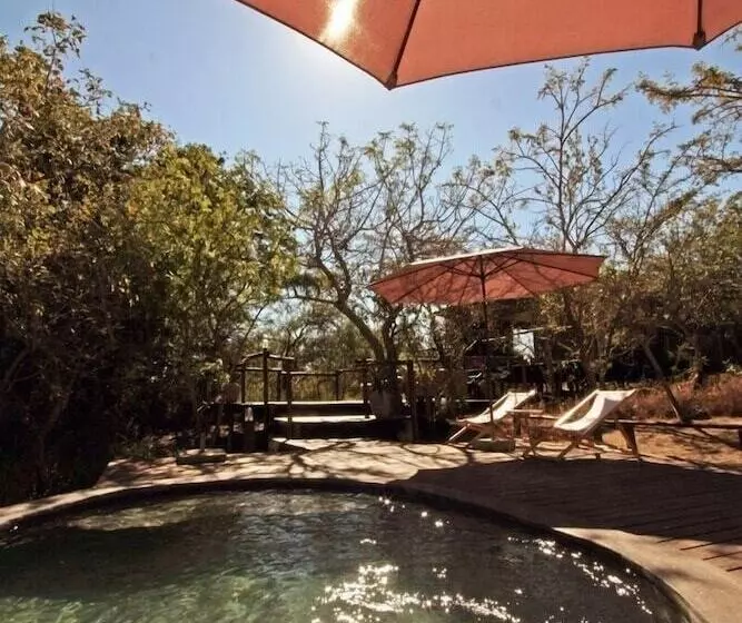 ホテル Ngama Tented Safari Lodge