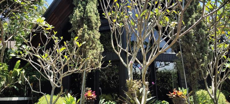 Hotel Obc Guest House