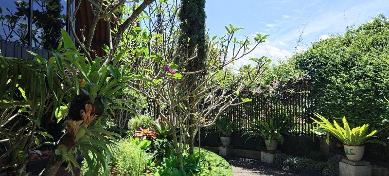 Hotel Obc Guest House