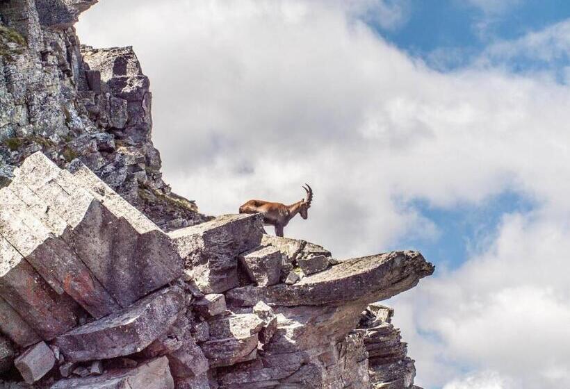 酒店 Gasthaus   Restaurant Simplon Va Hie