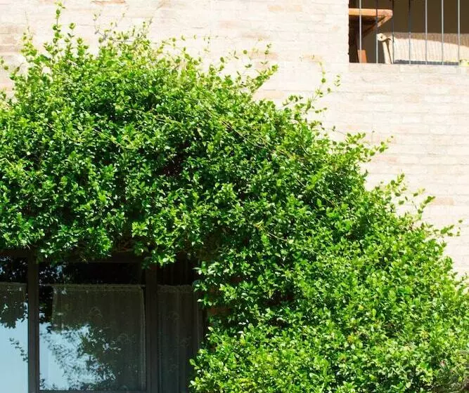 Hotelli Podere Vesta