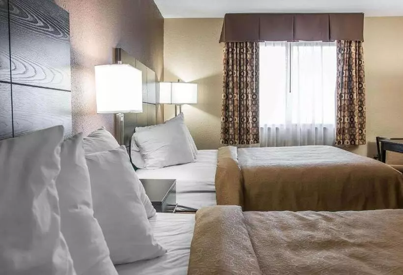 モーテル Quality Inn Grand Rapids South Byron Center