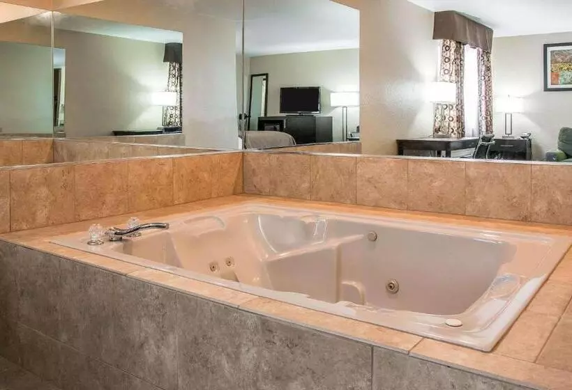 モーテル Quality Inn Grand Rapids South Byron Center