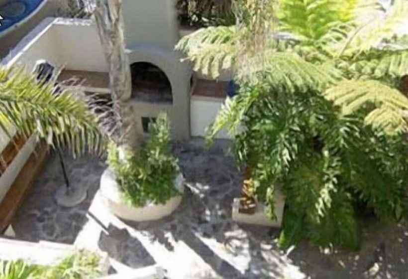 פנסיון Melkbosch Guesthouse