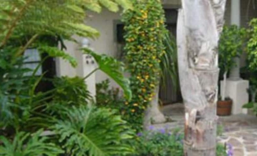 פנסיון Melkbosch Guesthouse