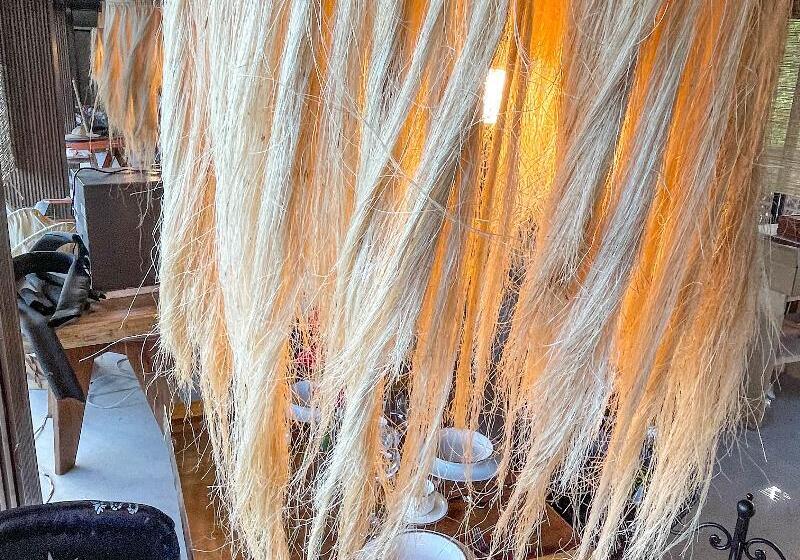 ホテル Akuazul Resorts