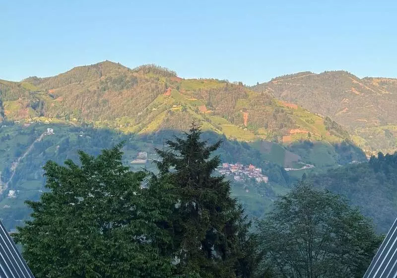 Hotelli Nova Bungalov