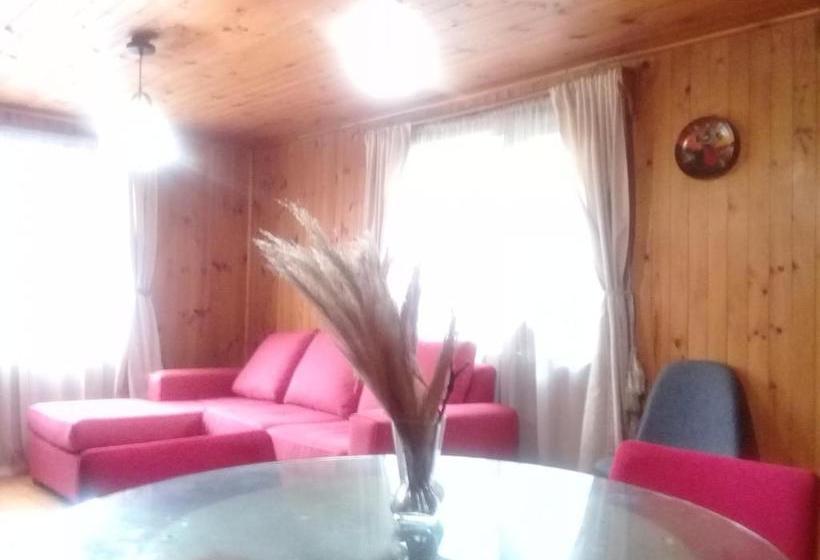 ベッドアンドブレックファースト Wool & Wood House