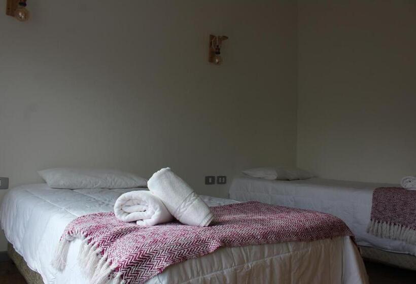 Hostal Alamo Patagonico