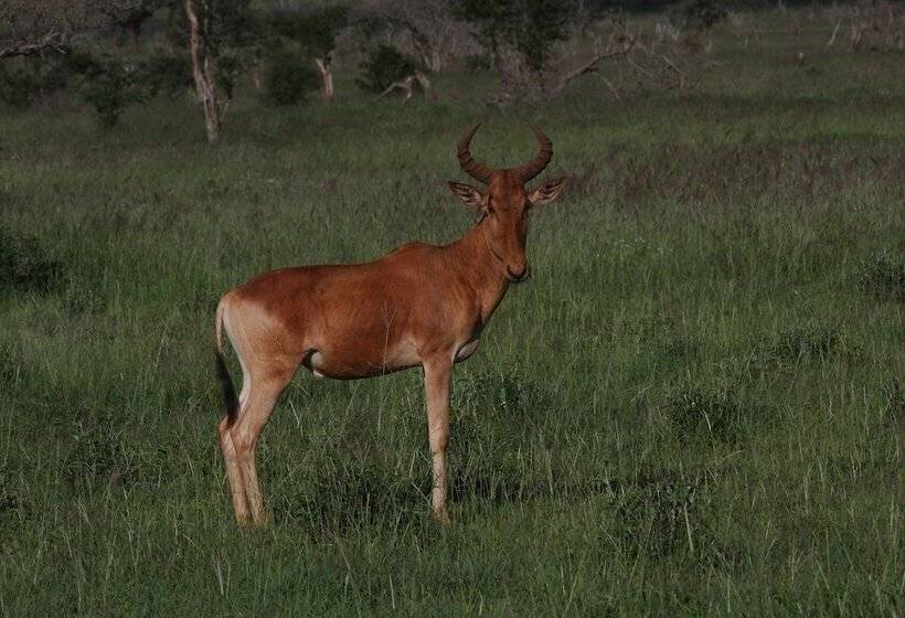 هتل Aestus Villas Resort