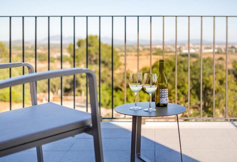 בית מלון כפרי Agroturismo Ses Vistes