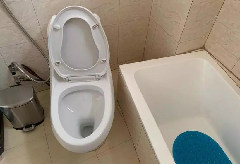 هتل Delano  Bahir Dar