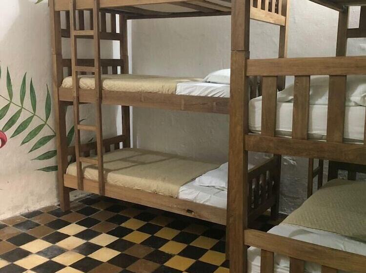 ホテル Hostel Green House Coffee Bar