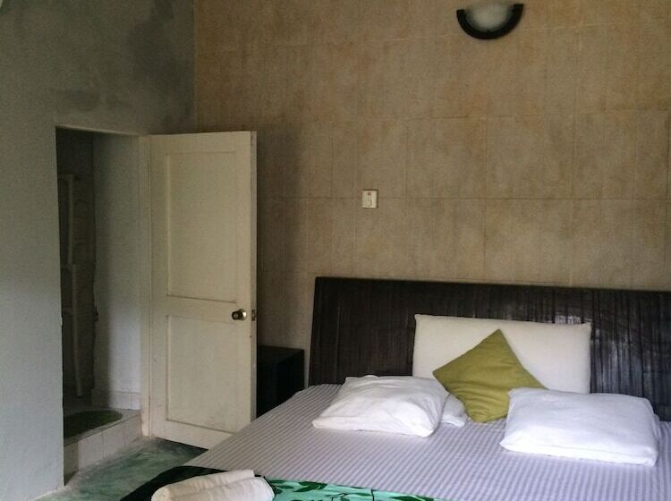 ホテル Hostel Green House Coffee Bar