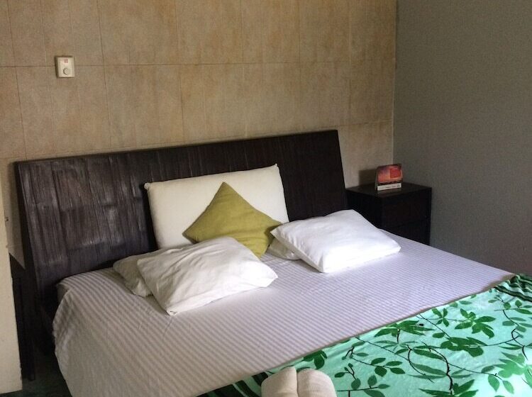 ホテル Hostel Green House Coffee Bar