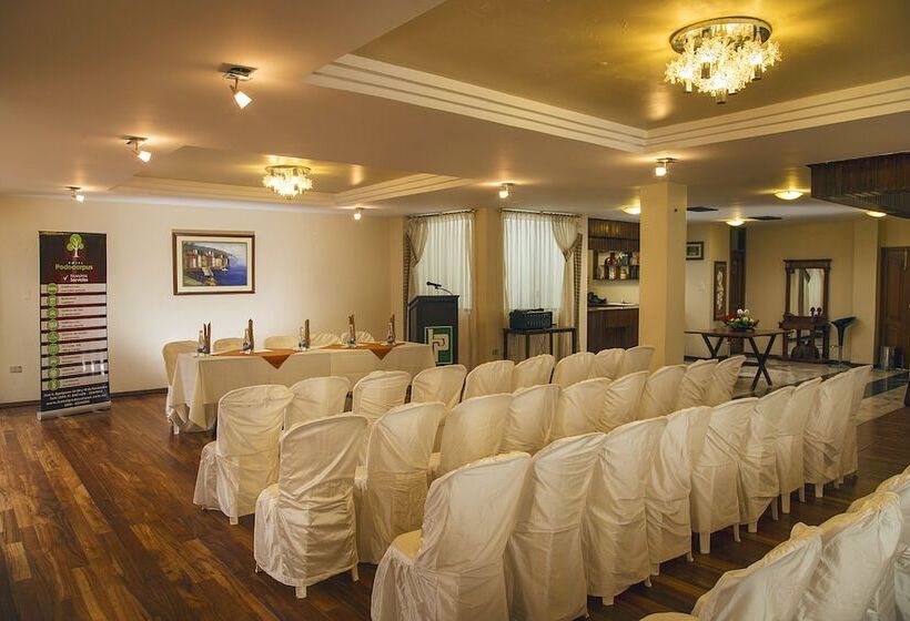 Отель Podocarpus