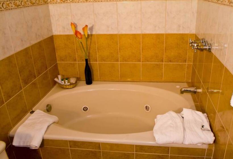 Отель Podocarpus