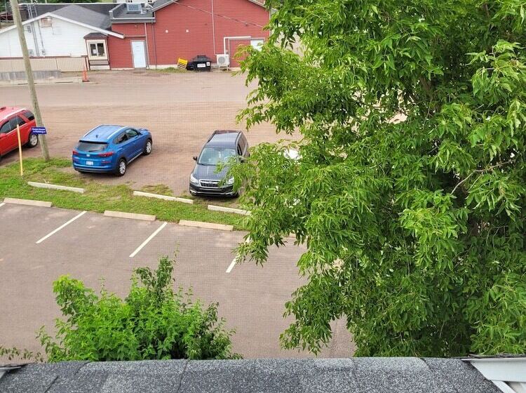 בית מלון כפרי Prince County Guest House