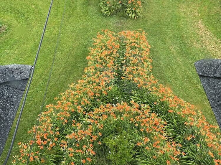 בית מלון כפרי Prince County Guest House