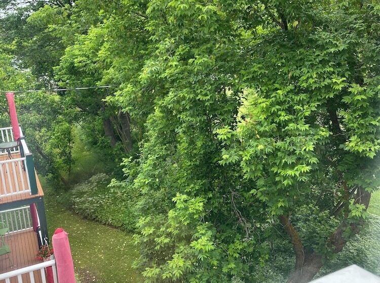 בית מלון כפרי Prince County Guest House