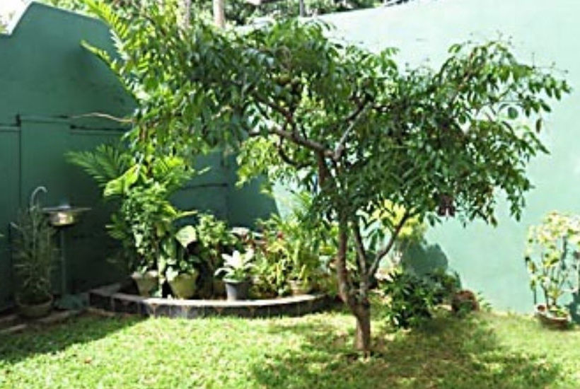 Mount Lavinia Home Stay