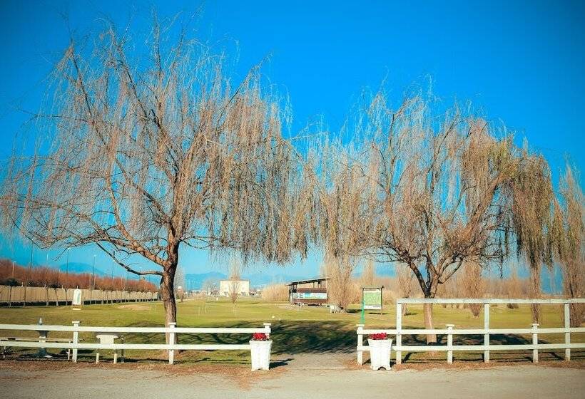 Отель Quadrifoglio